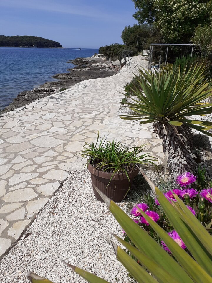 20230507_113453.jpg - ogolek