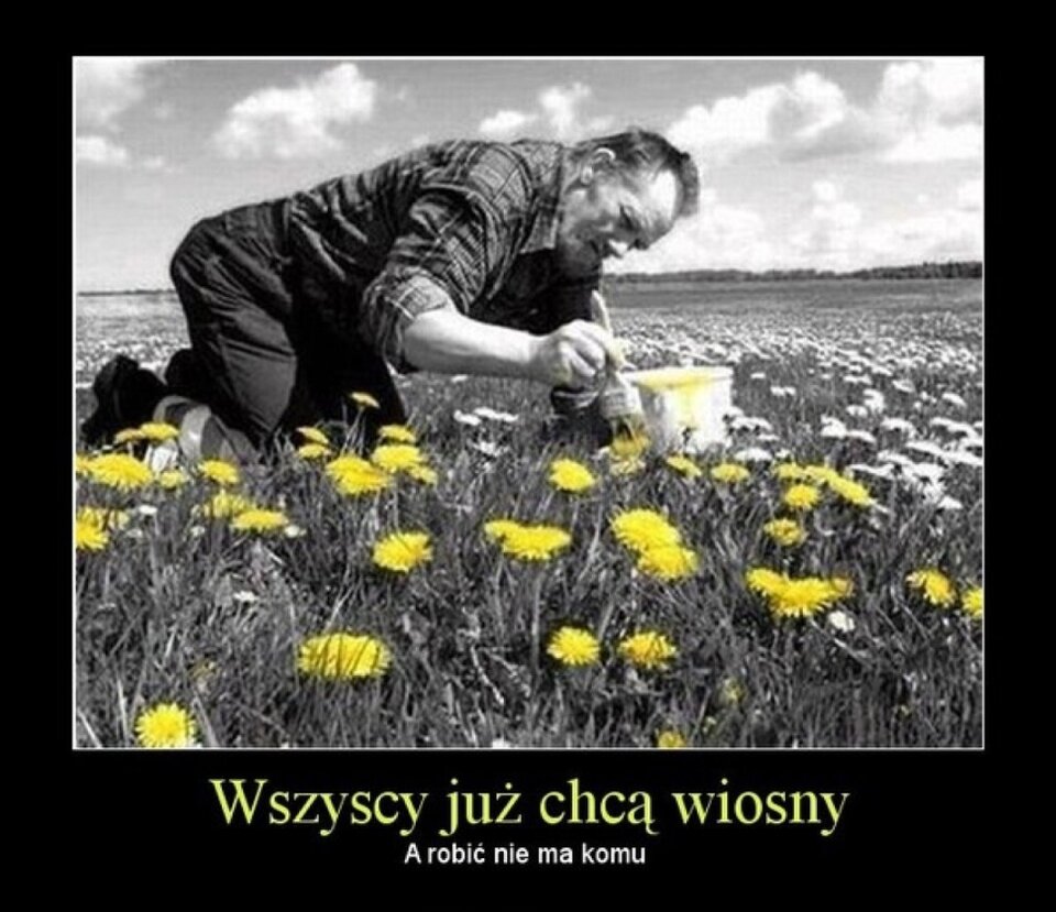 wiosna.jpg - kris178