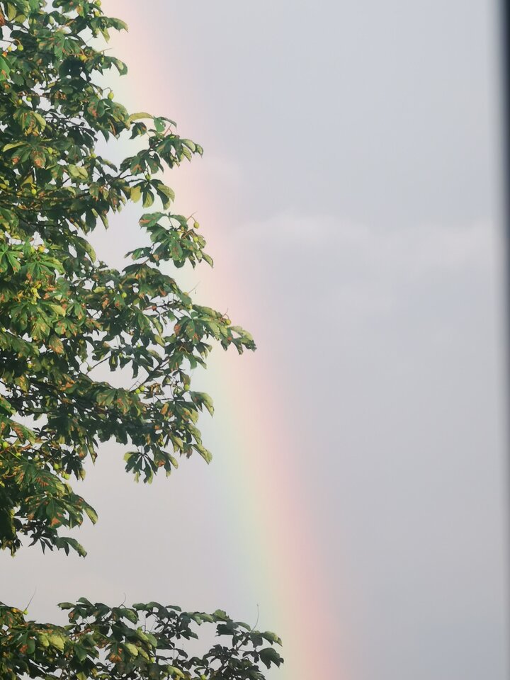 1000006151.jpg - Miniek234