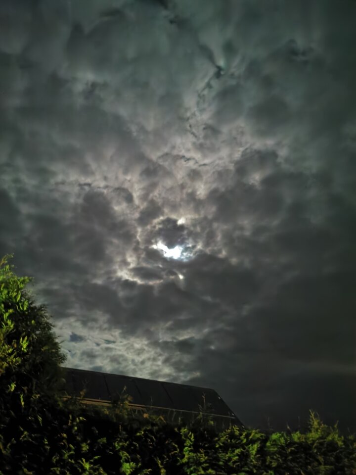 1000006293.jpg - Miniek234