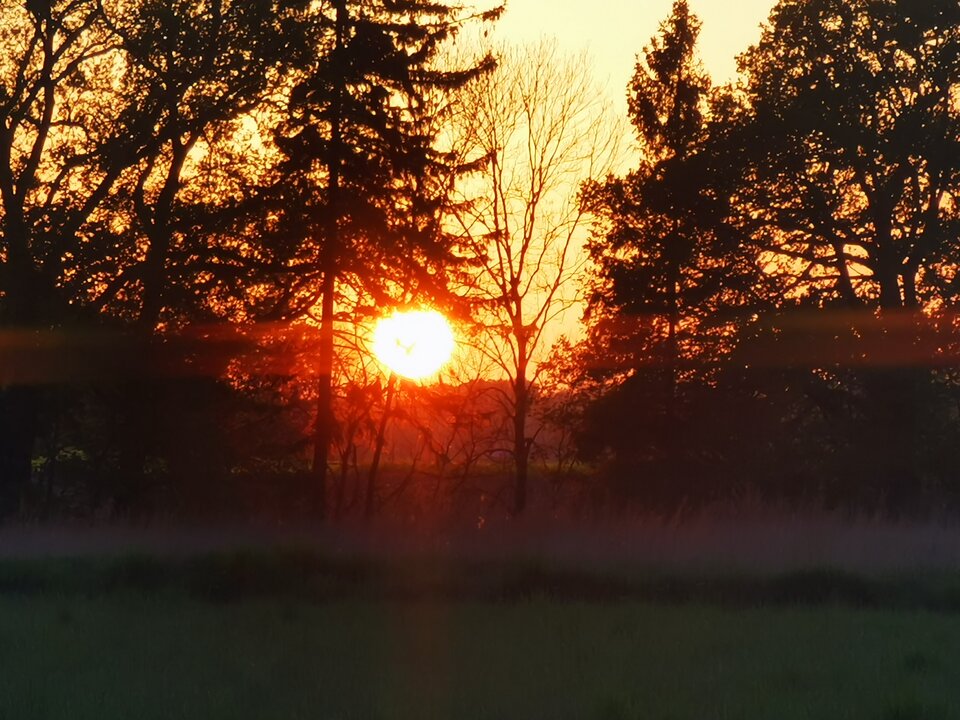 1000002705.jpg - Miniek234