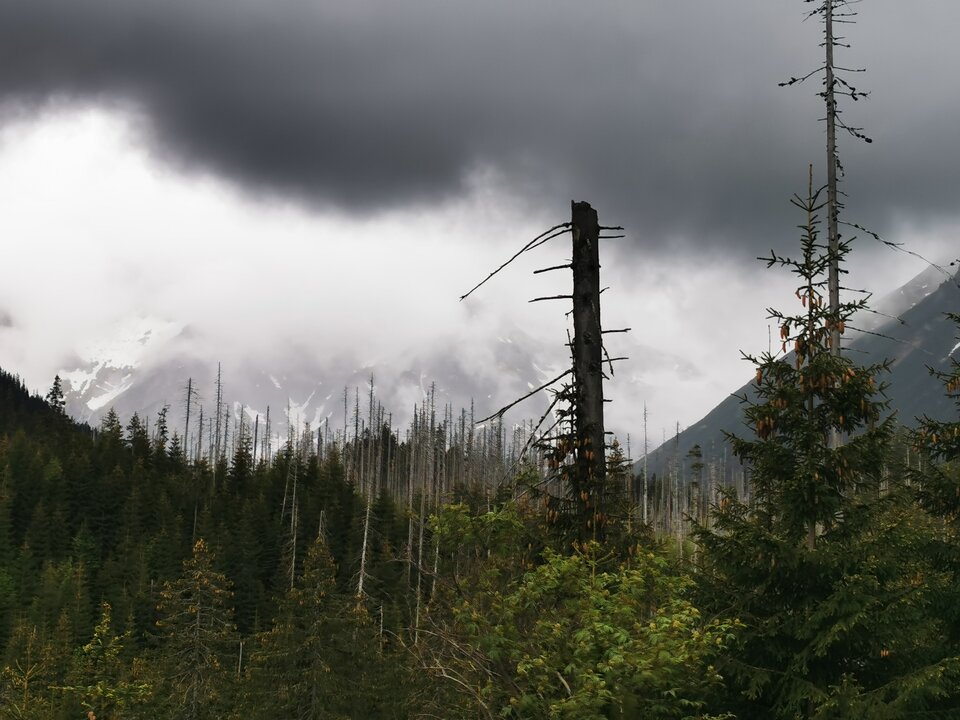 1000005934.jpg - Miniek234