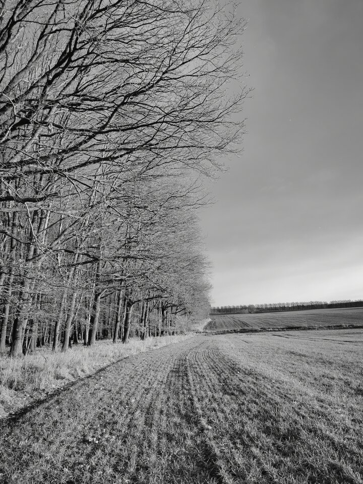 1000004173.jpg - Miniek234