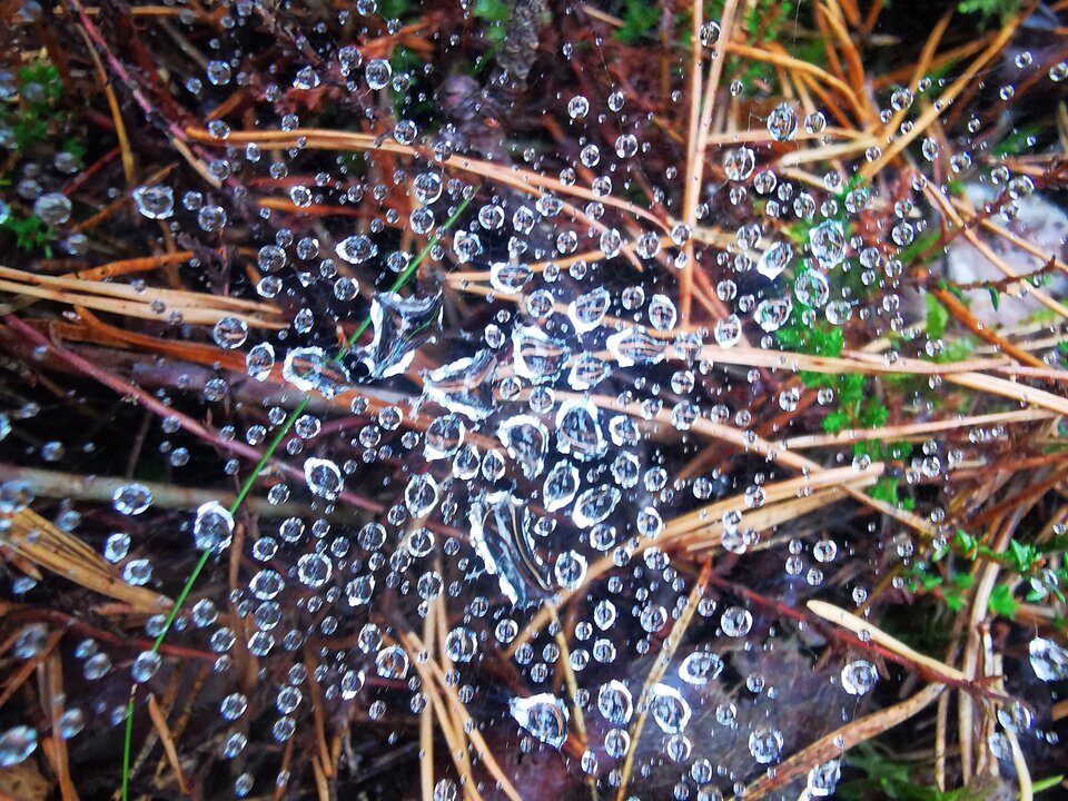 1000003816.jpg - Miniek234