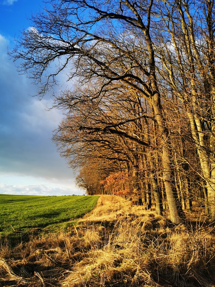 1000004180.jpg - Miniek234