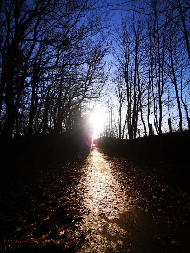 1000002610.jpg - Miniek234