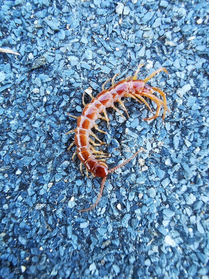 1000004611.jpg - Miniek234