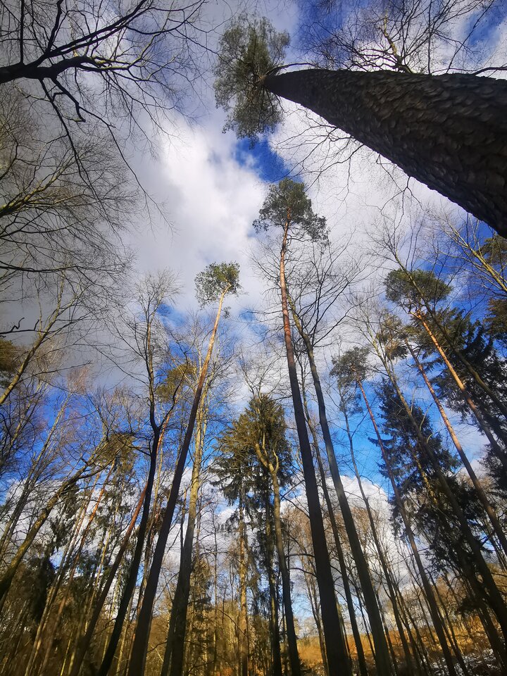 1000004365.jpg - Miniek234