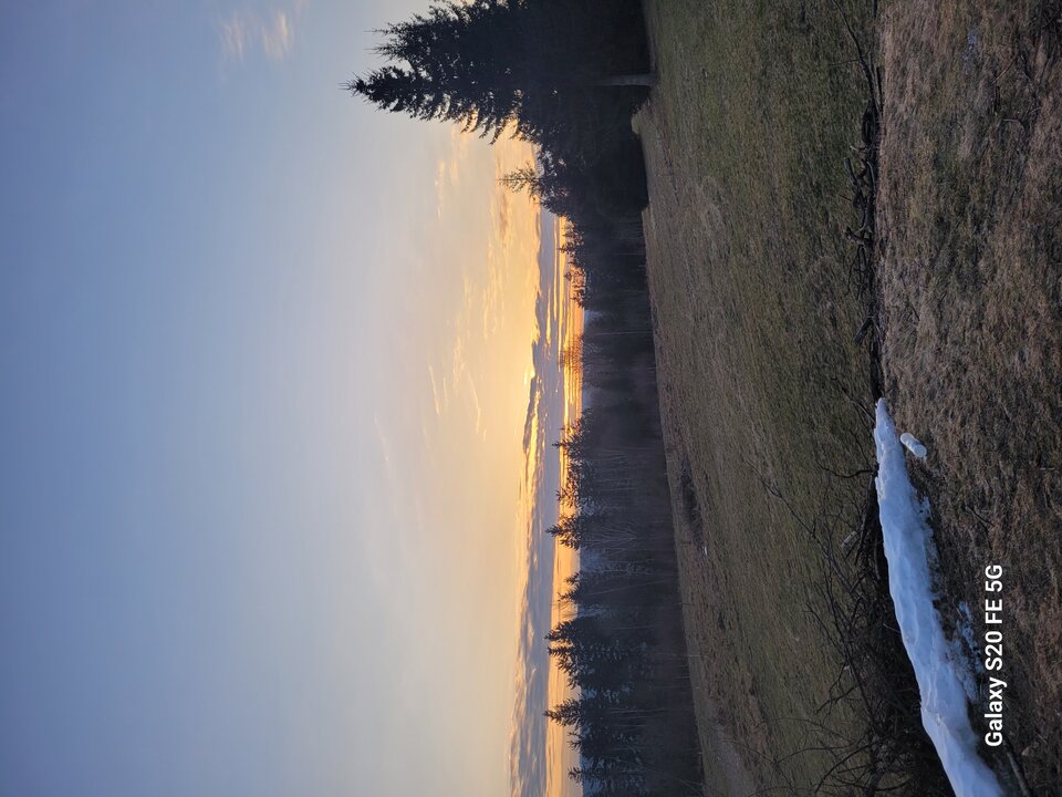 20250210_073755.jpg - rafik696969