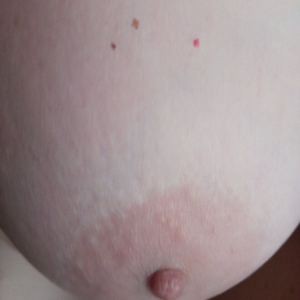 IMG_20250210_073834.jpg - olla55