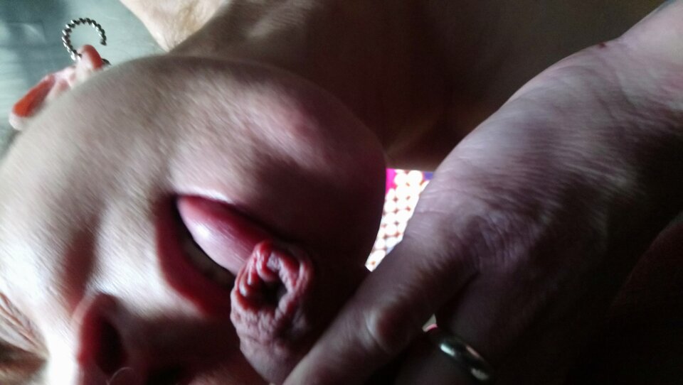 DSC_1249.JPG - Locks12