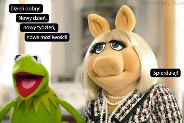 IMG_9126.jpeg - PiggyiKermit