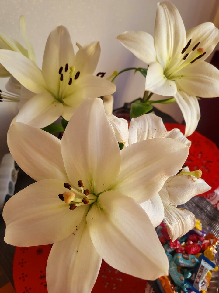 1000015657.jpg - Puszysta197676