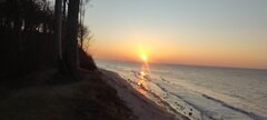 IMG_20250211_163755.jpg