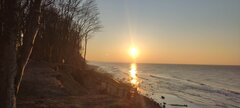 IMG_20250211_162024.jpg