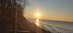 IMG_20250211_161632.jpg