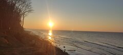 IMG_20250211_162030.jpg