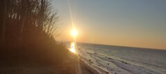 IMG_20250211_161336.jpg