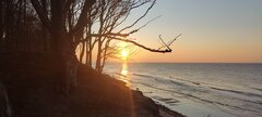 IMG_20250211_162831.jpg