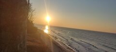 IMG_20250211_161354.jpg