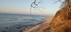 IMG_20250211_162033.jpg