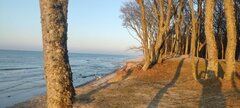 IMG_20250211_162834.jpg