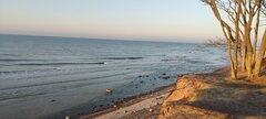 IMG_20250211_161659.jpg
