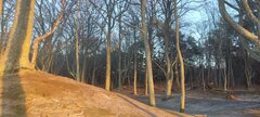 IMG_20250211_161733.jpg