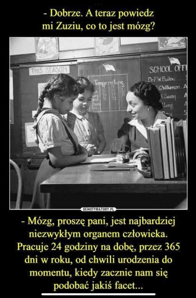 IMG_3760.jpeg - 1yorkjo