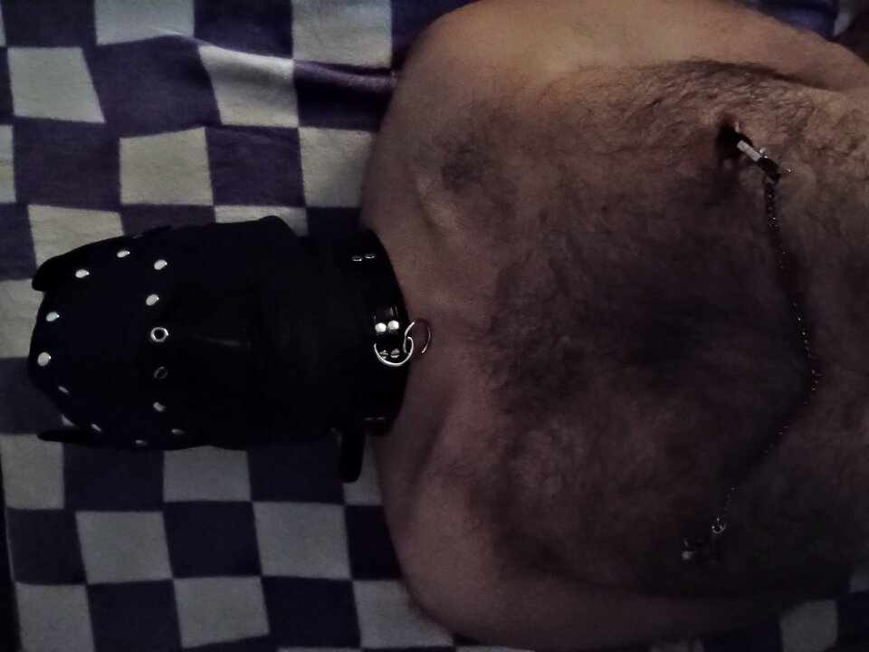 Ktoś chętny na zastępstwo 🦮? - couplecheck