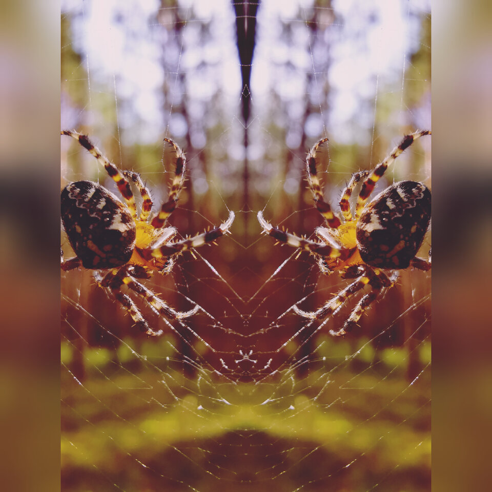 InShot_20200923_172242887.jpg - Miniek234