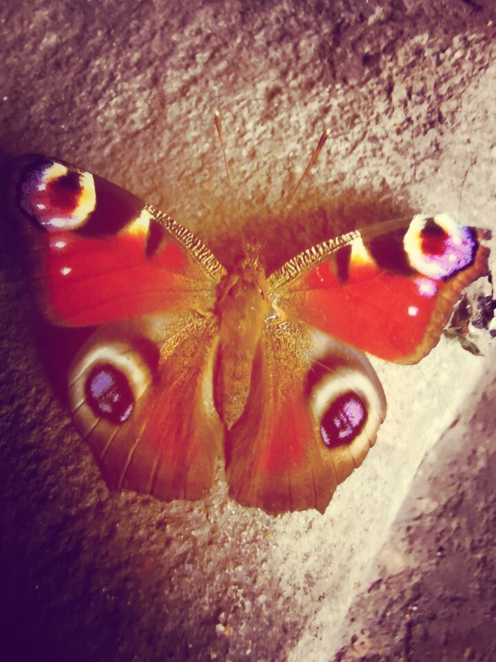 cv_1639349166658.jpg - Miniek234