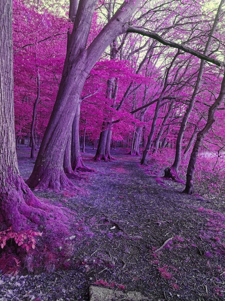 cv_1589885493909.jpg - Miniek234