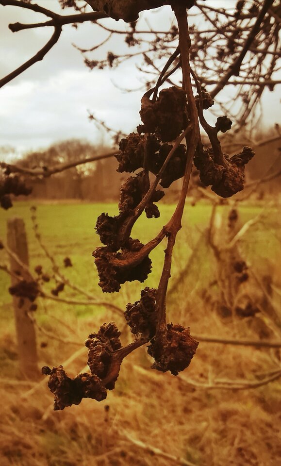 IMG_20200510_225034.jpg - Miniek234