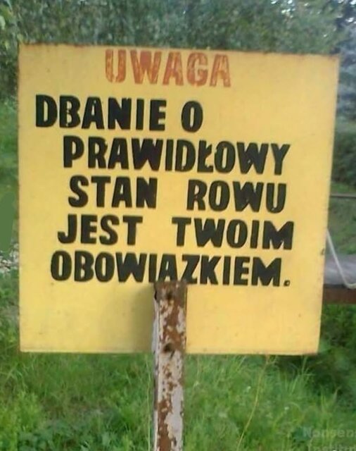 1000012805.jpg - NOWiGA