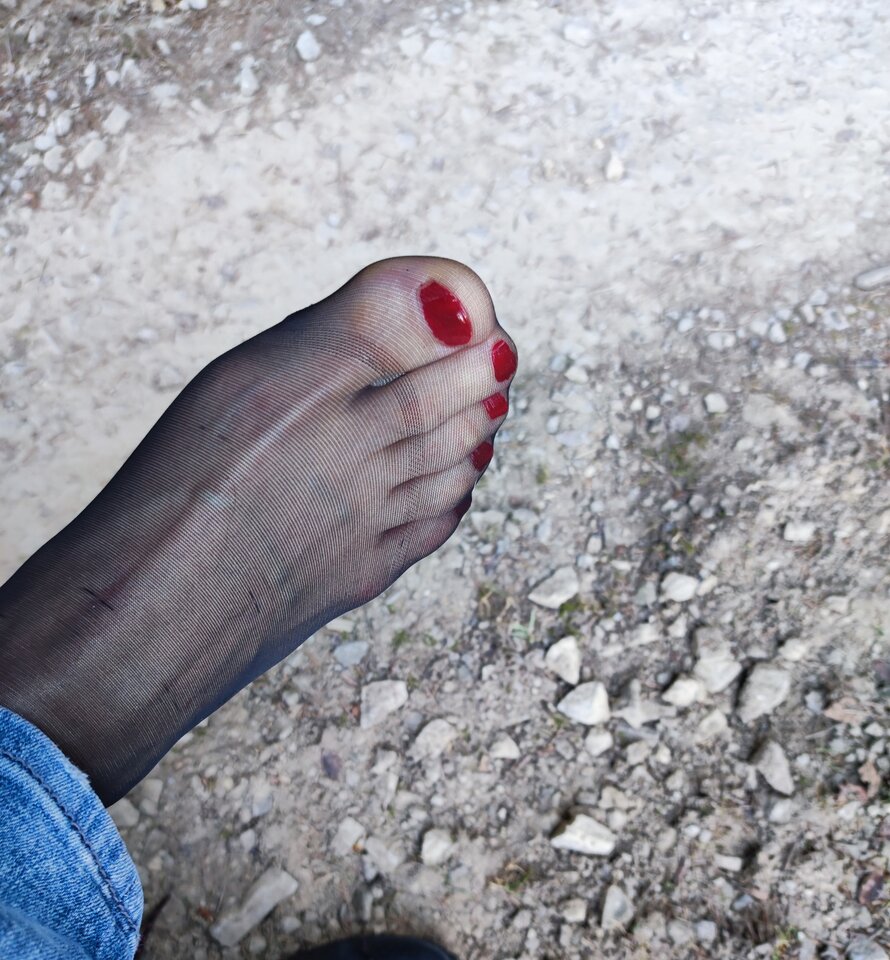 IMG_20250212_153259.jpg - phmega23