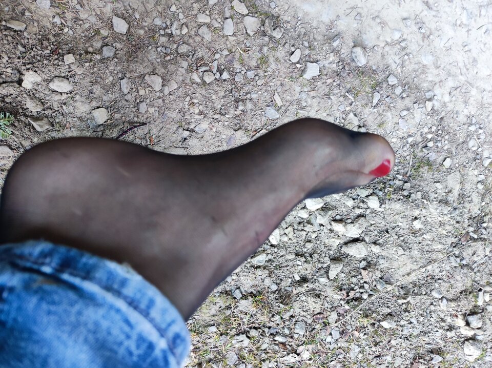 IMG_20250212_103419.jpg - phmega23