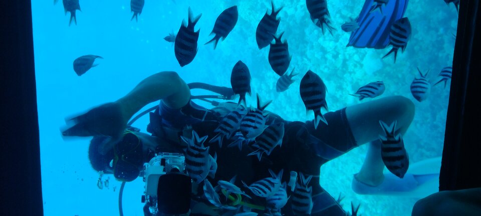 IMG_20240614_095027327_HDR.jpg - Poszukiwacz74