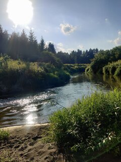 IMG_20230822_165350.jpg