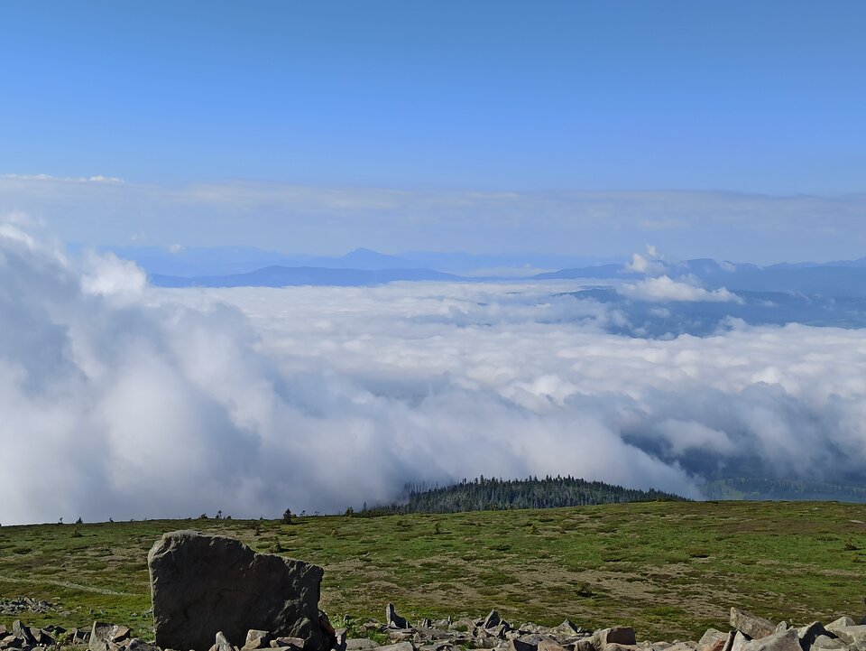 IMG_20240608_083917.jpg - Janeczek42