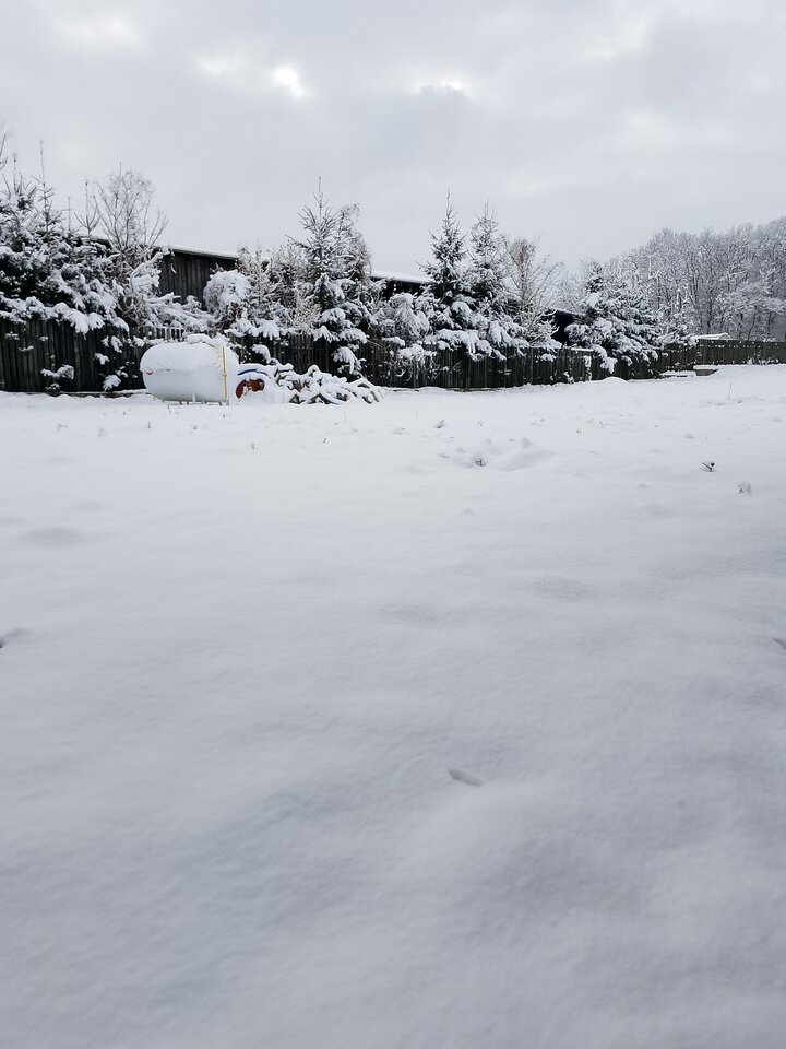 1000000539.jpg - Marczes12