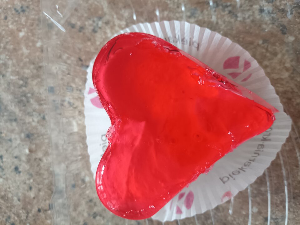 17395296088016171175028506811545.jpg - Spontan2022