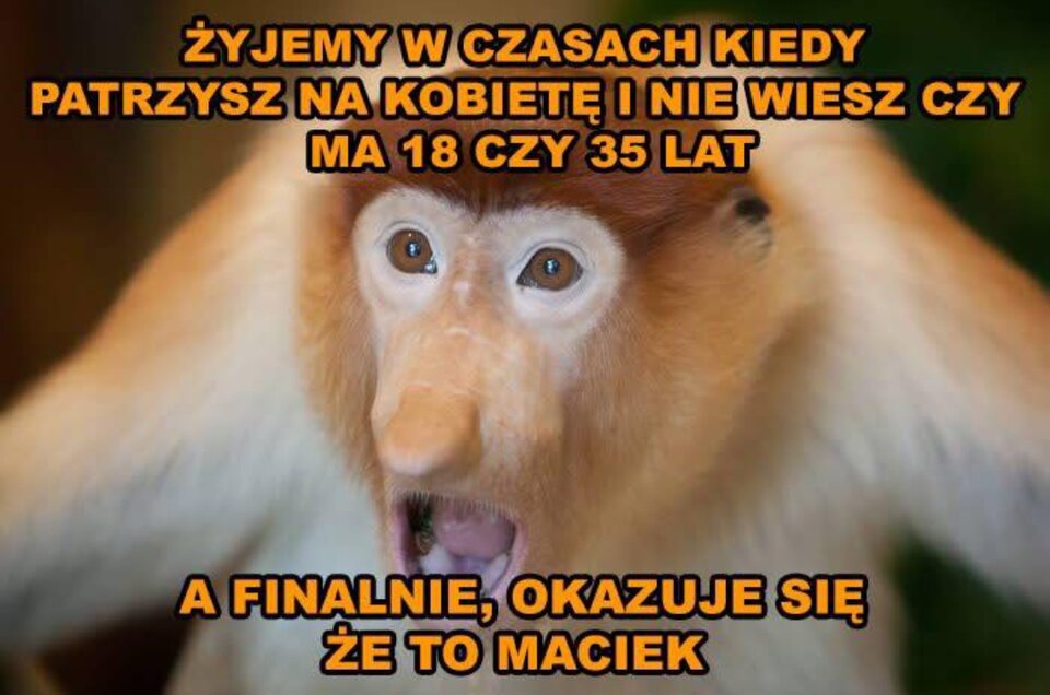 1000033594.jpg - Szuwarek_od_szparek