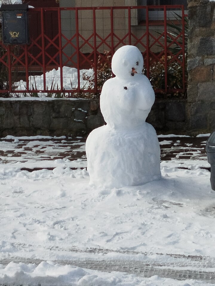 1000002343.jpg - Kur_acjuszka