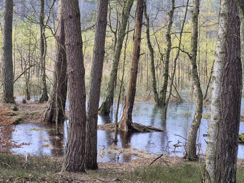 1000018643.jpg - Miniek234