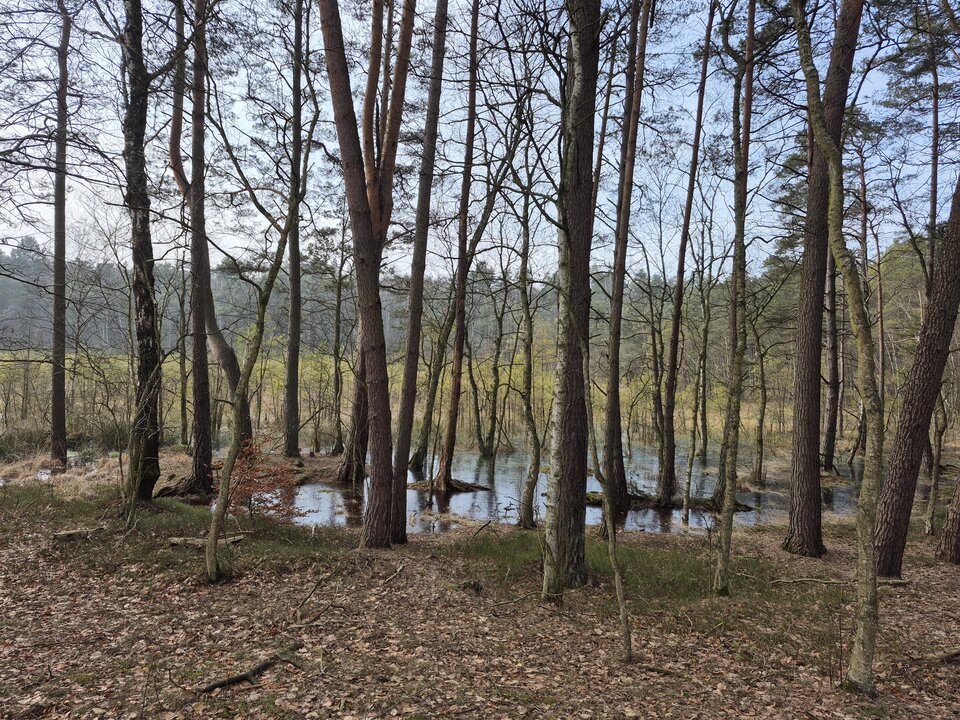 1000018641.jpg - Miniek234