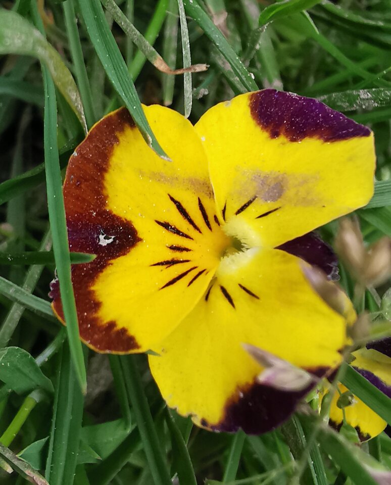 IMG_20201229_222254.jpg - Miniek234