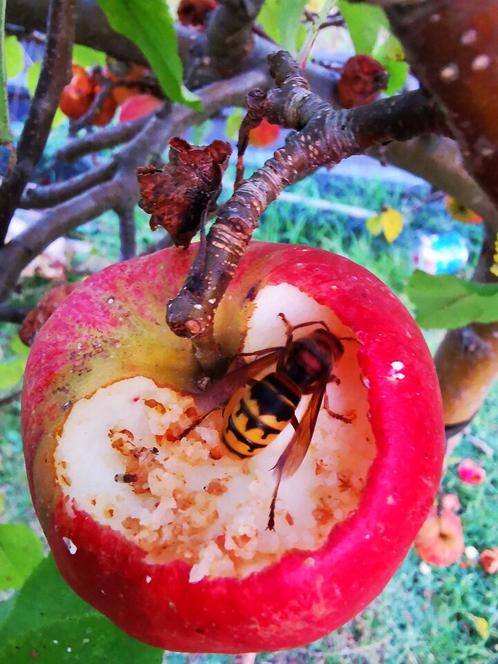 IMG_20200923_185137.jpg - Miniek234