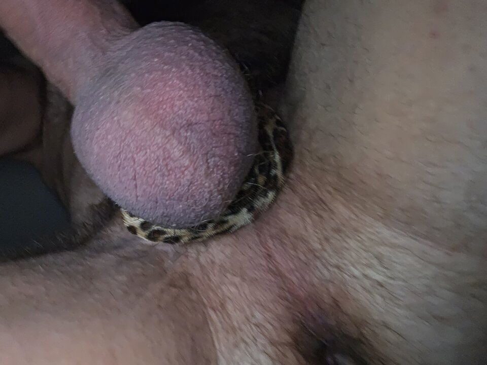 17395742254978406682009784636678.jpg - Ostrokry