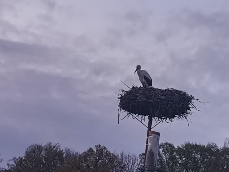 IMG_20200506_205343.jpg - Miniek234